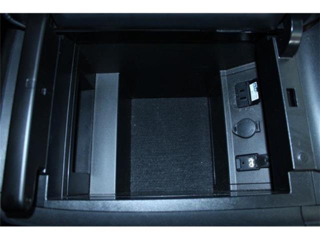 ヴェルファイア(新潟県新潟市東区)