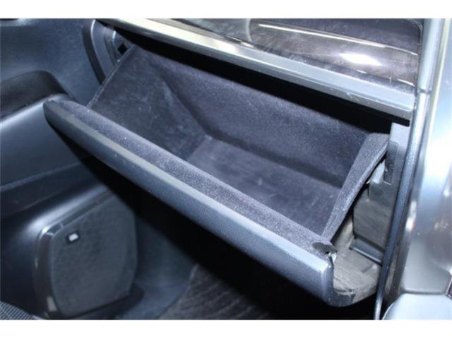 ヴェルファイア(新潟県新潟市東区)