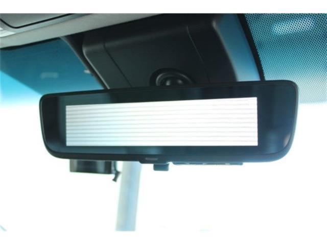 ヴェルファイア(新潟県新潟市東区)