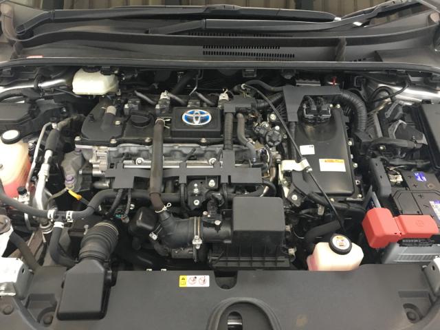 カローラツーリング(新潟県新潟市西区)