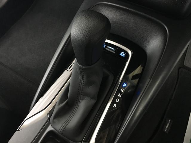 カローラツーリング(新潟県新潟市西区)