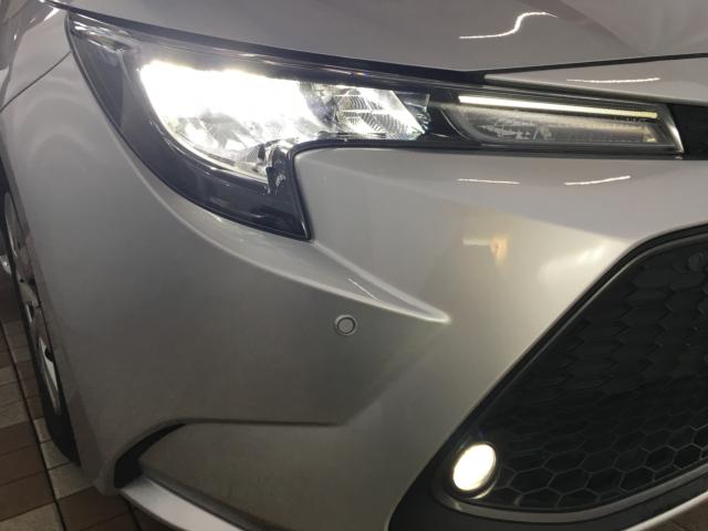 カローラツーリング(新潟県新潟市西区)