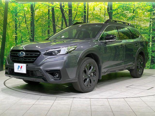 アウトバック（新潟県長岡市）画像70