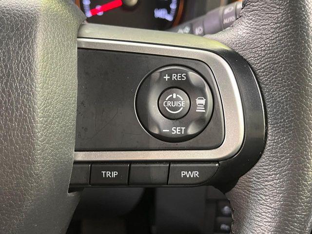 タフト（新潟県新潟市南区）画像6