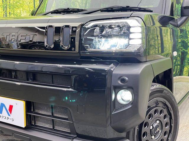 タフト（新潟県新潟市南区）画像12