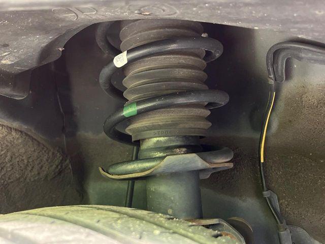 タフト（新潟県新潟市南区）画像20