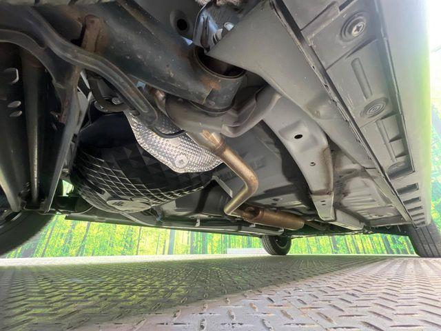 タフト（新潟県新潟市南区）画像22