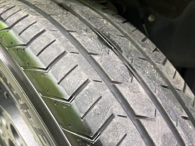 タフト（新潟県新潟市南区）画像26