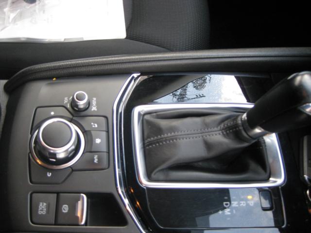 CX-5（新潟県南魚沼郡湯沢町）