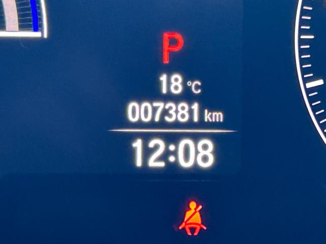 オデッセイ(新潟県新潟市江南区)