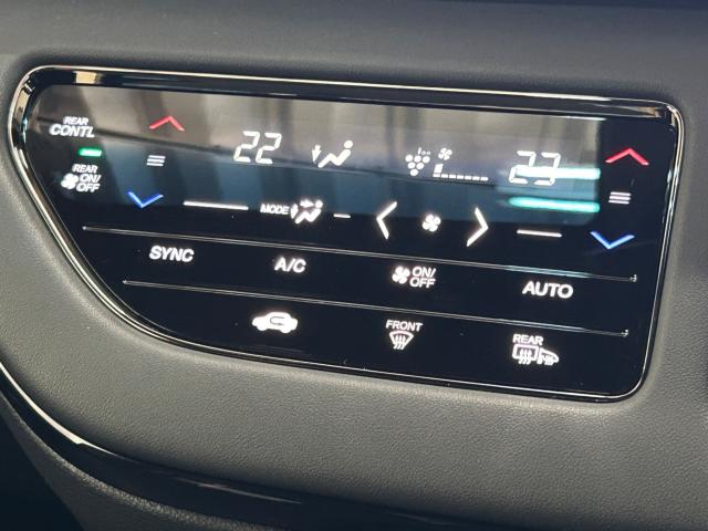 オデッセイ(新潟県新潟市江南区)