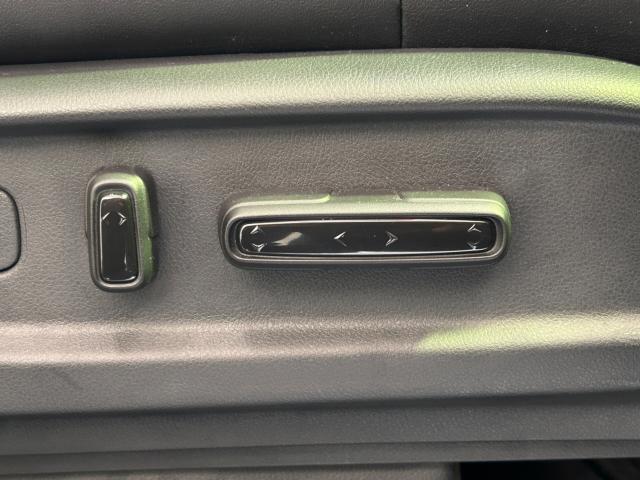 オデッセイ(新潟県新潟市江南区)