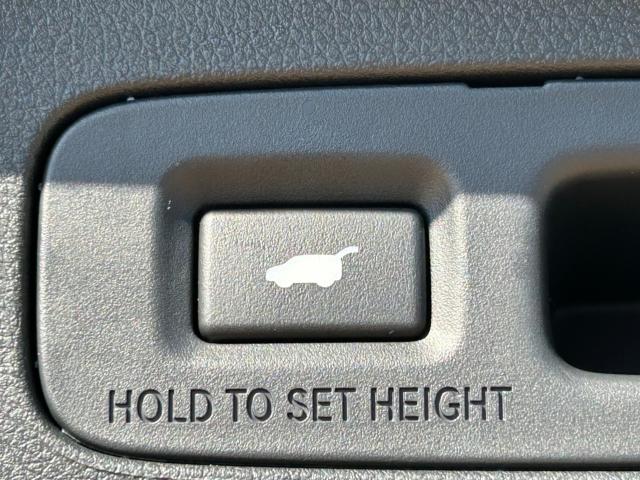 オデッセイ(新潟県新潟市江南区)