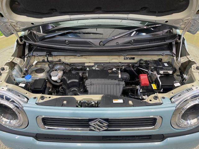 ハスラー(新潟県新潟市南区)