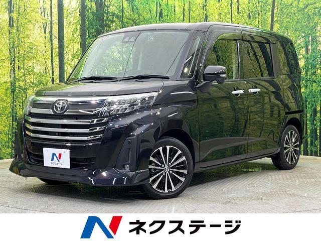 ルーミー（新潟県新潟市南区）