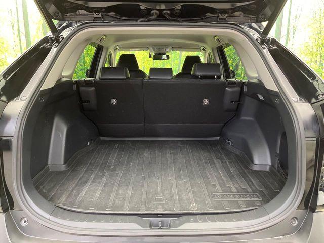 ＲＡＶ４（新潟県新潟市南区）