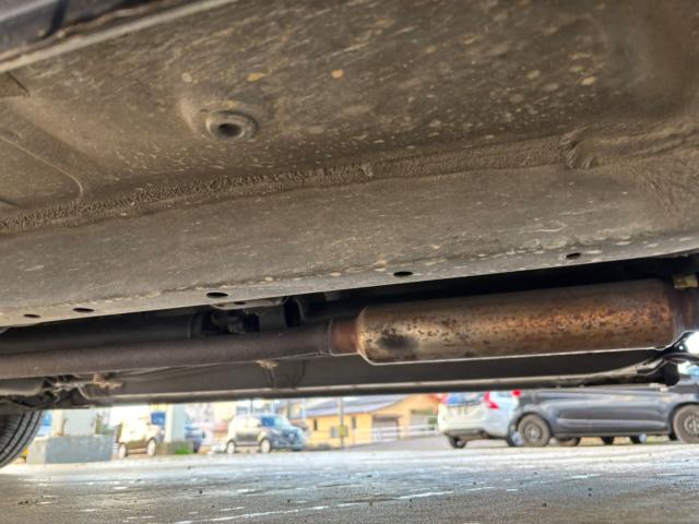 ステラ（新潟県新潟市北区）画像15