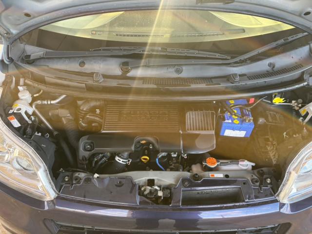 ステラ（新潟県新潟市北区）画像35