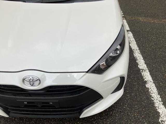 ヤリス（新潟県新潟市西蒲区）