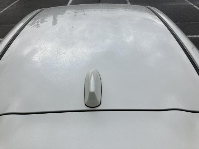 ヤリス（新潟県新潟市西蒲区）