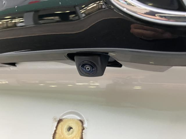 ヤリス（新潟県新潟市西蒲区）