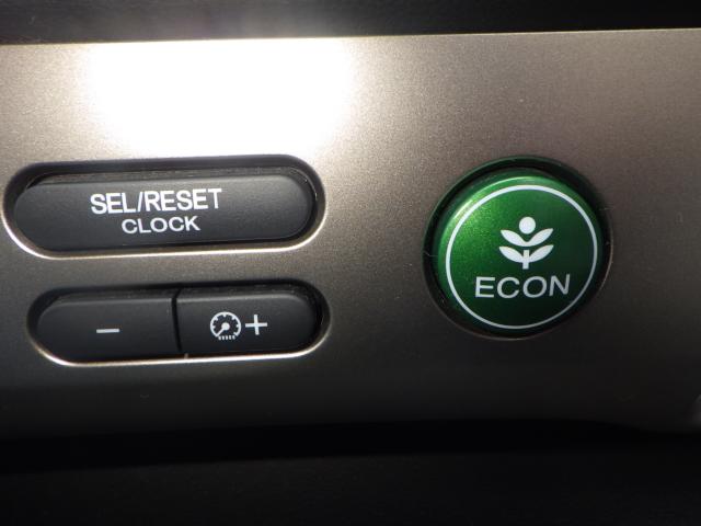 フリードスパイク（新潟県新潟市西区）