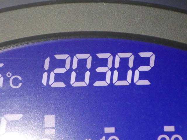 フリードスパイク（新潟県新潟市西区）