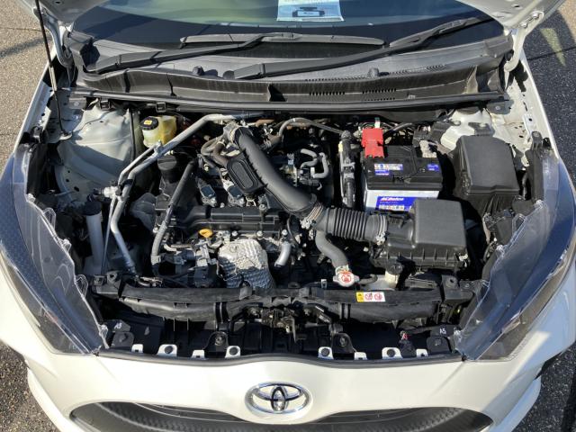 ヤリス（新潟県新潟市西蒲区）画像19