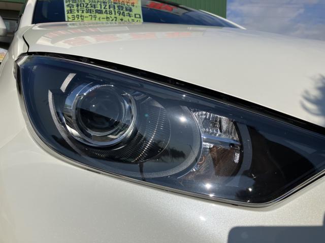 ヤリス（新潟県新潟市西蒲区）画像22