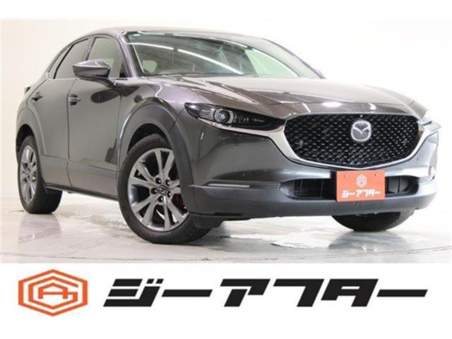 ＣＸ－３０（新潟県新潟市東区）
