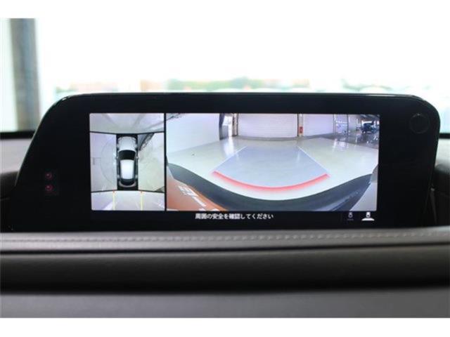 ＣＸ－３０（新潟県新潟市東区）画像3