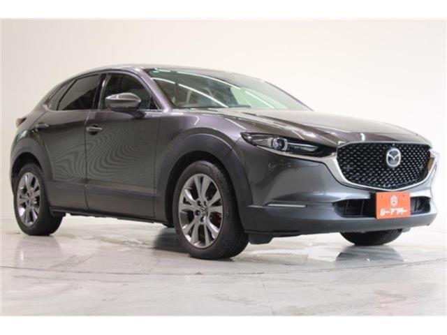 ＣＸ－３０（新潟県新潟市東区）画像8