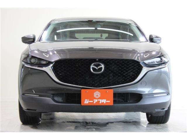 ＣＸ－３０（新潟県新潟市東区）画像9