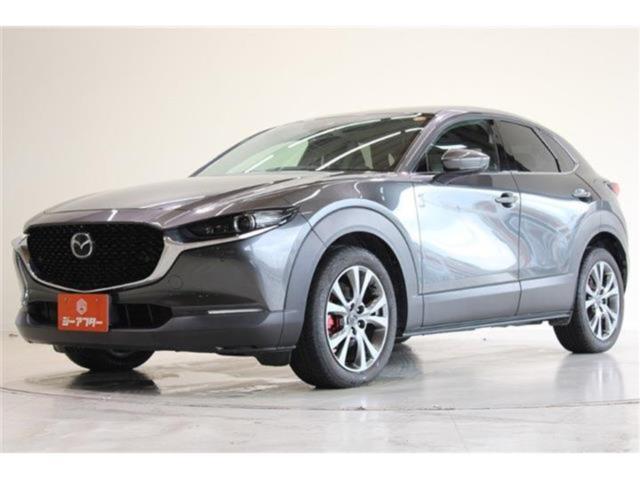 ＣＸ－３０（新潟県新潟市東区）画像10