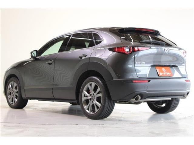 ＣＸ－３０（新潟県新潟市東区）画像12