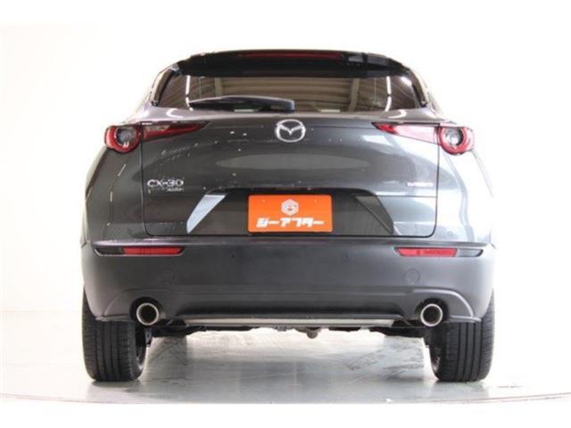 ＣＸ－３０（新潟県新潟市東区）画像13