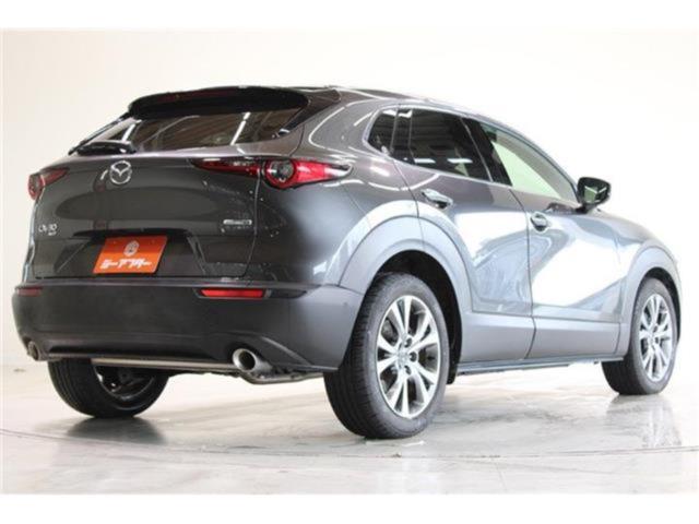 ＣＸ－３０（新潟県新潟市東区）画像14