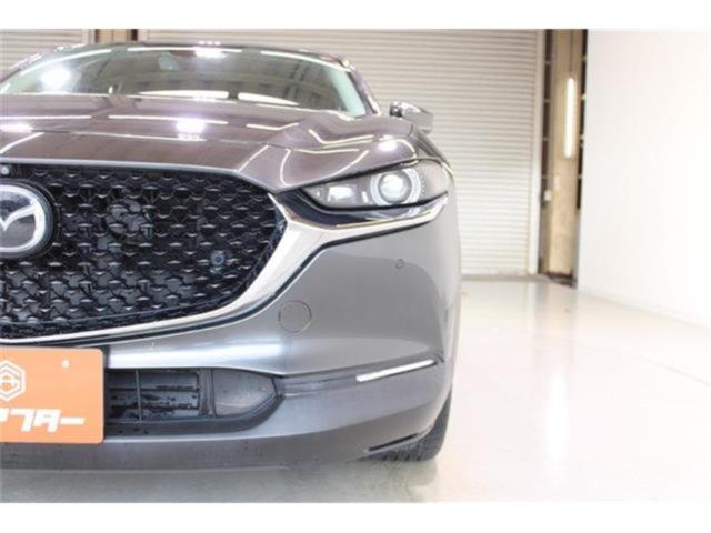 ＣＸ－３０（新潟県新潟市東区）画像16