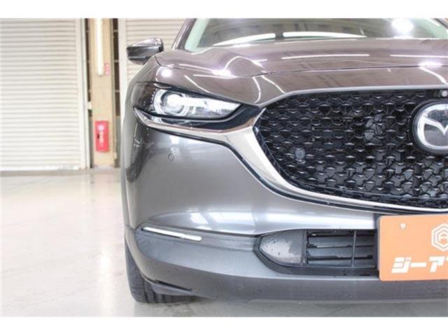 ＣＸ－３０（新潟県新潟市東区）画像18