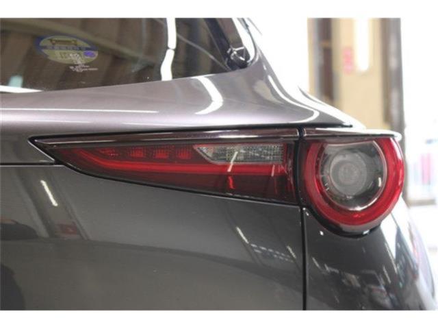 ＣＸ－３０（新潟県新潟市東区）画像20