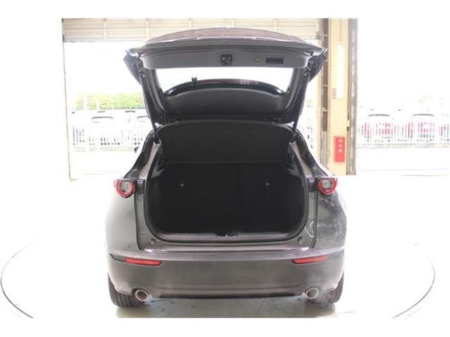 ＣＸ－３０（新潟県新潟市東区）画像33