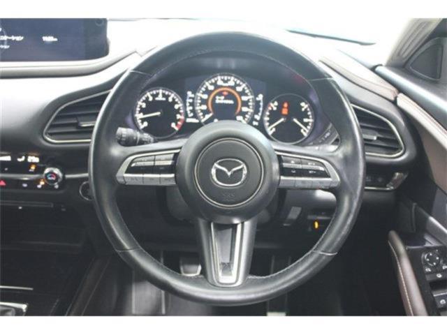 ＣＸ－３０（新潟県新潟市東区）画像47