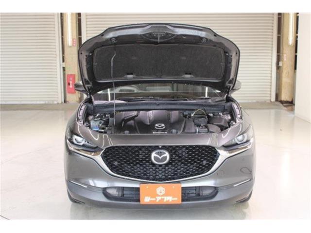 ＣＸ－３０（新潟県新潟市東区）画像70