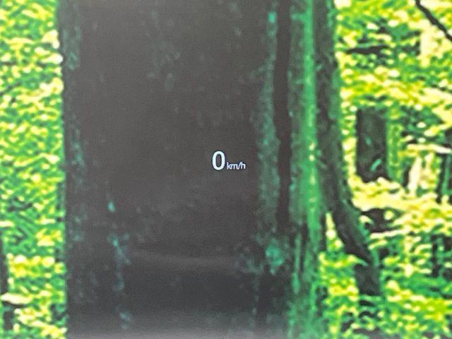 CX-8（新潟県長岡市）画像51