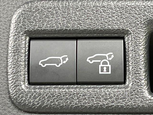 ハリアー(新潟県長岡市)