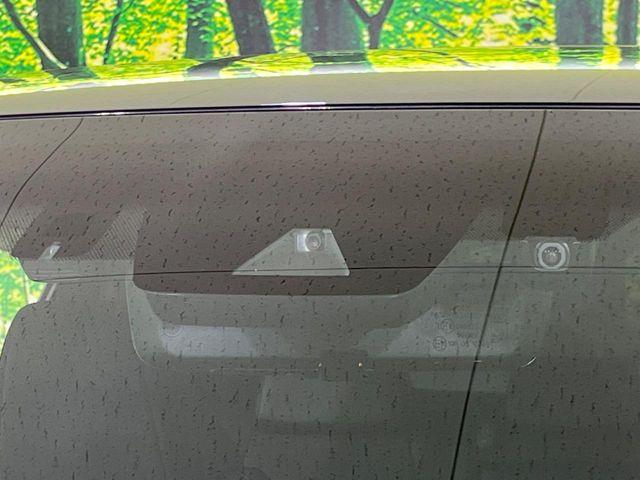 ハリアー(新潟県長岡市)