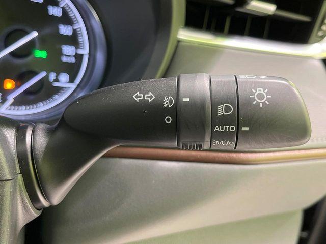 ハリアー(新潟県長岡市)