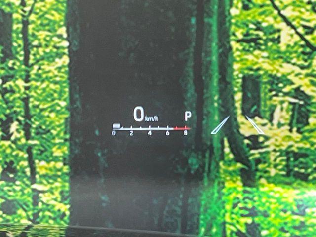 ハリアー(新潟県長岡市)