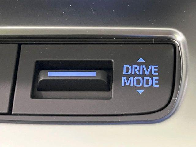 ハリアー(新潟県長岡市)