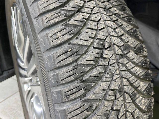 ハリアー(新潟県長岡市)